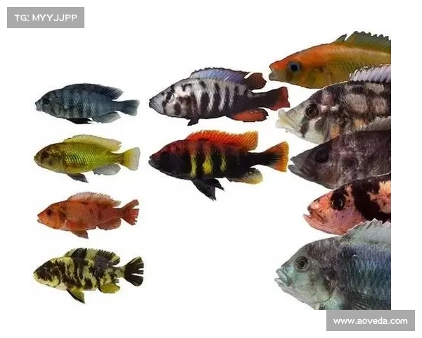 冰鳞蓝鱼的独特特性及栖息地分布的五个关键事实分析