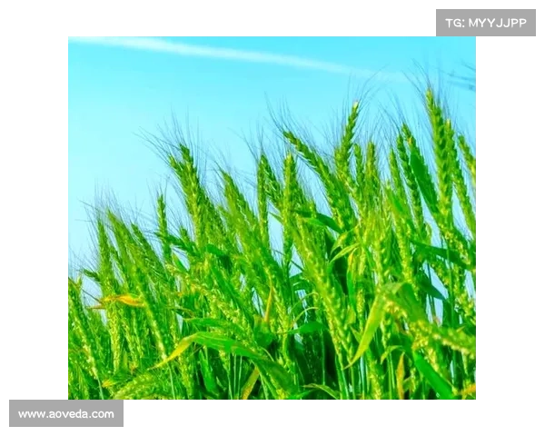 小满时节：与自然的亲密接触