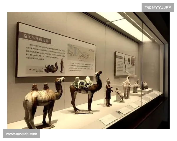 在多元文化交融中感悟生命的丰富与美丽