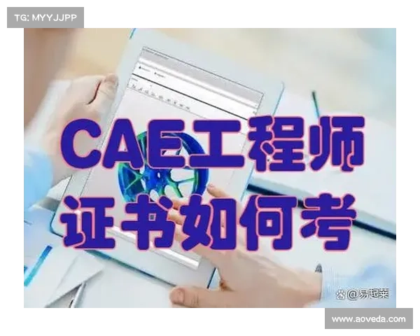 工程师职业发展路径与技能提升策略详解及实用加点技巧分析