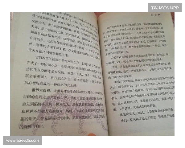生活中的智慧：如何避免关键决策中的致命错误与陷阱