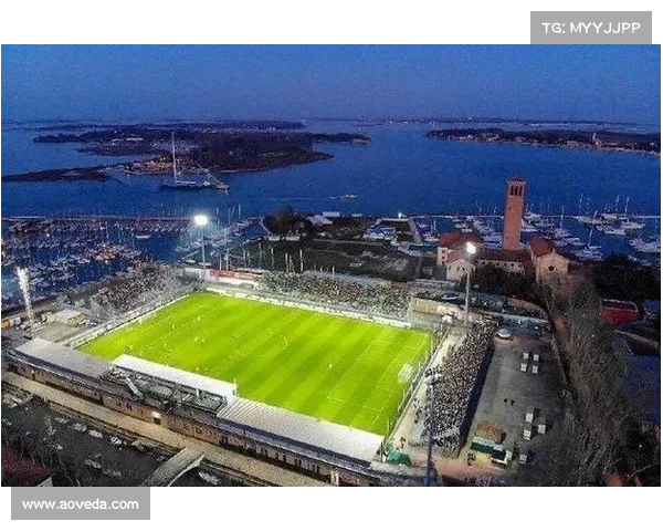 意甲俱乐部自建球场进程受阻的体制经济与社会因素探析