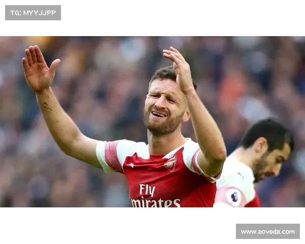 坎贝尔打什么位置最为合适分析及最佳选择探讨